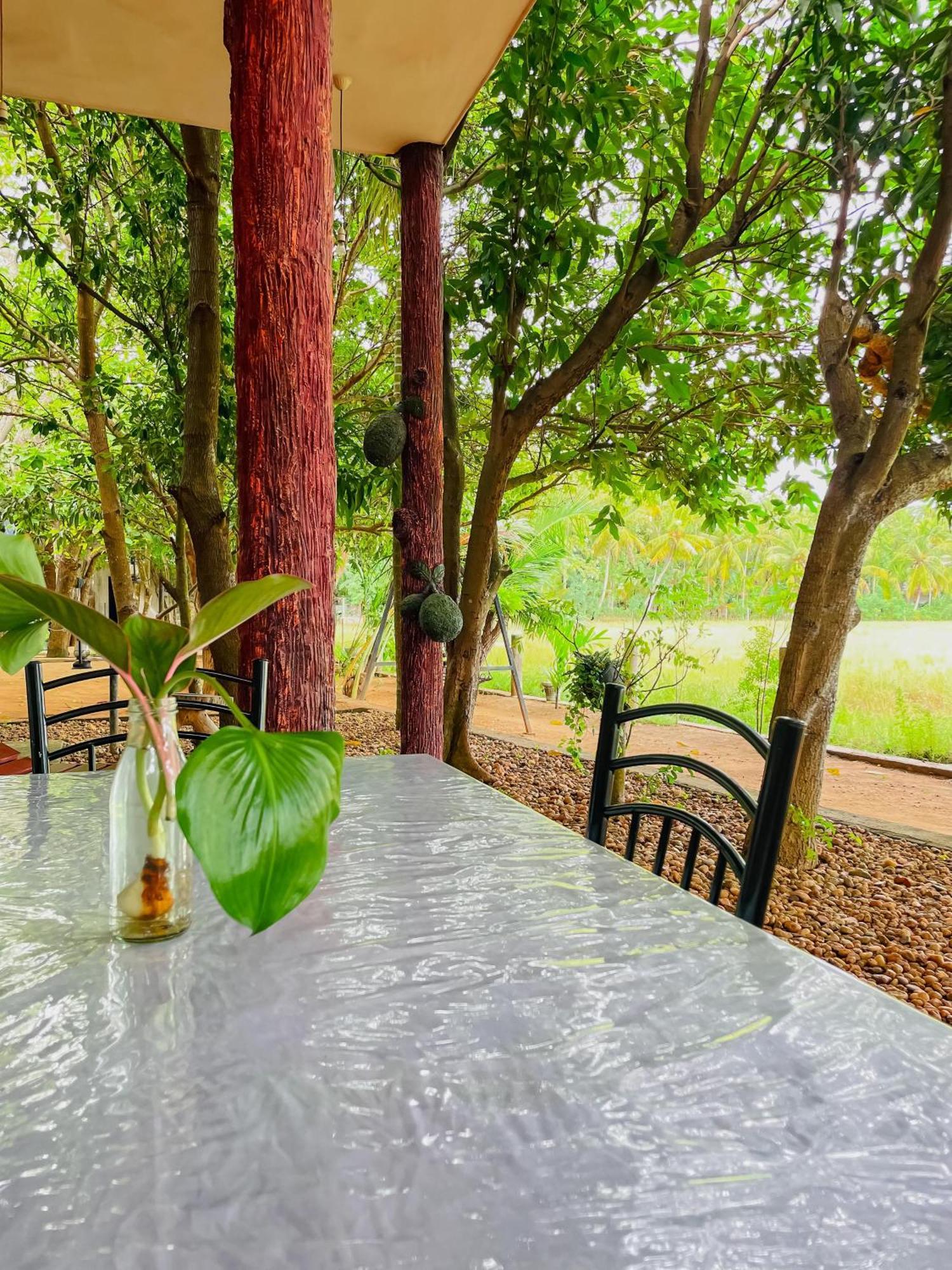 V Cabanas & Yala Safari Place Тіссамахарама Екстер'єр фото