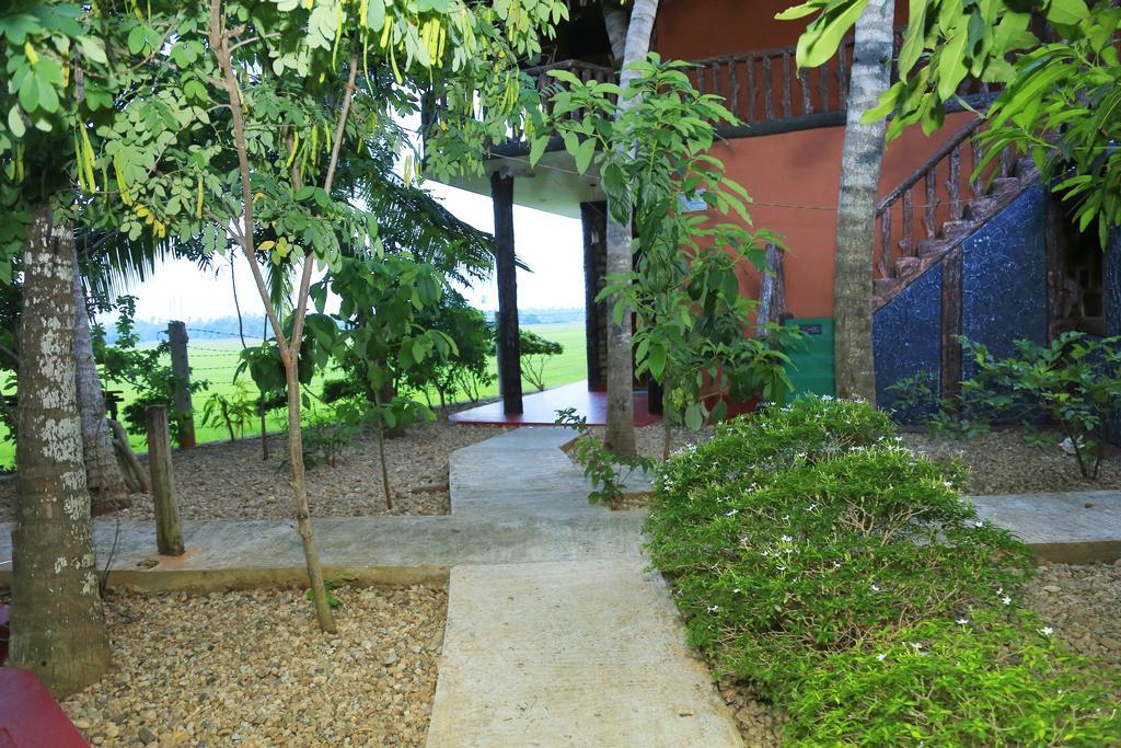 V Cabanas & Yala Safari Place Тіссамахарама Екстер'єр фото